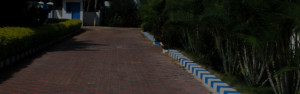 Interlocking Concrete Pavers