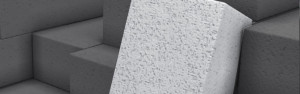 literoof-flyash-bricks